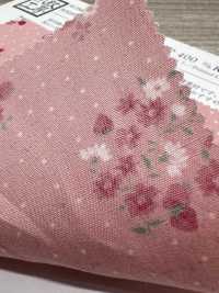 KCP400-DK703 برودكلوث قطني 40s مطبوع[Textile / Fabric] Uni Textile (Komon Kobo) صور إضافية