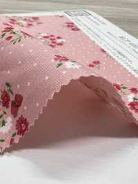 KCP400-DK703 برودكلوث قطني 40s مطبوع[Textile / Fabric] Uni Textile (Komon Kobo) صور إضافية