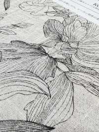 KCP524-D624 كانفاس رايون وكتان بطباعة لون واحد[Textile / Fabric] Uni Textile (Komon Kobo) صور إضافية