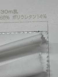 78016 بوليستر مطاطي[Textile / Fabric] Sanwa Seni صور إضافية