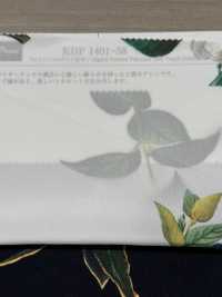 KDP1401-58-D-783 تصميم أنثوي بعرض عريض[نسيج / قماش] Uni Textile (Komon Kobo) صور إضافية