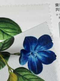 KDP1401-58-D-783 تصميم أنثوي بعرض عريض[نسيج / قماش] Uni Textile (Komon Kobo) صور إضافية
