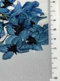 KDP1401-58-D-781 Feminish ديـسين عرض واسع[نسيج / قماش] Uni Textile (Komon Kobo) صور إضافية