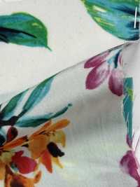 KKP6635-58D-DBK201 New Venus ديشين متعدد الألوان بطباعة IJ من ألياف مقسمة[نسيج / قماش] Uni Textile (Komon Kobo) صور إضافية