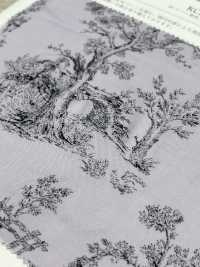 KCP616-D603 60 لاون بطباعة لون واحد[نسيج / قماش] Uni Textile (Komon Kobo) صور إضافية