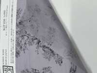 KCP616-D603 60 لاون بطباعة لون واحد[نسيج / قماش] Uni Textile (Komon Kobo) صور إضافية