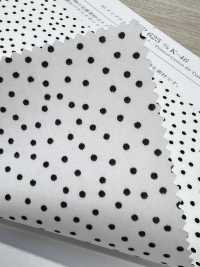 KCP625-DK-46 قماش تايبرايتر مطبوع 60[نسيج / قماش] Uni Textile (Komon Kobo) صور إضافية