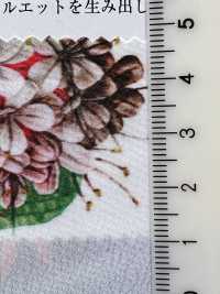 KDP1401-58-DD-783 80 قطن تايب رايتر مطبوع[نسيج / قماش] Uni Textile (Komon Kobo) صور إضافية