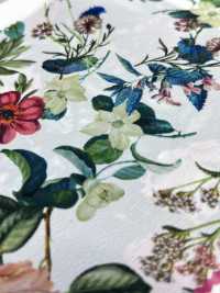 KDP2312SD-58-DD-233 Feminish Dechine طباعة نافثة للحبر بعرض واسع[نسيج / قماش] Uni Textile (Komon Kobo) صور إضافية