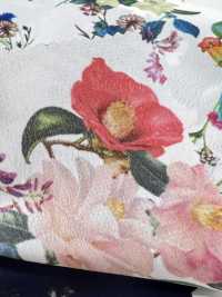 KDP2312SD-58-DD-233 Feminish Dechine طباعة نافثة للحبر بعرض واسع[نسيج / قماش] Uni Textile (Komon Kobo) صور إضافية