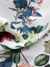 KDP2312SD-58-DD-233 Feminish Dechine طباعة نافثة للحبر بعرض واسع[نسيج / قماش] Uni Textile (Komon Kobo) صور إضافية