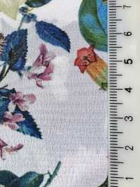 KDP2312SD-58-DD-233 Feminish Dechine طباعة نافثة للحبر بعرض واسع[نسيج / قماش] Uni Textile (Komon Kobo) صور إضافية
