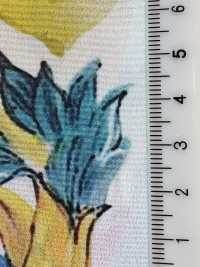 KDP2312SD-58-DD-241 فيمينيش ديشين عريض العرض بطباعة نافثة للحبر[Textile / Fabric] Uni Textile (Komon Kobo) صور إضافية