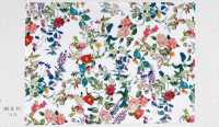 KDP7711-58-DD899 طباعة نافثة للحبر على جروجرين خفيف بعرض واسع[نسيج / قماش] Uni Textile (Komon Kobo) صور إضافية