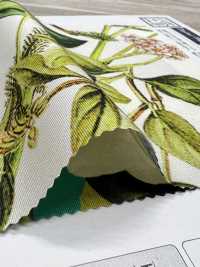 KDP7711-58-DD899 طباعة نافثة للحبر على جروجرين خفيف بعرض واسع[نسيج / قماش] Uni Textile (Komon Kobo) صور إضافية