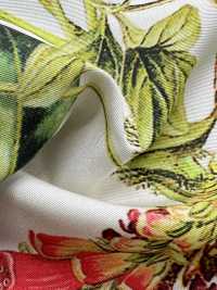 KDP7711-58-DD899 طباعة نافثة للحبر على جروجرين خفيف بعرض واسع[نسيج / قماش] Uni Textile (Komon Kobo) صور إضافية