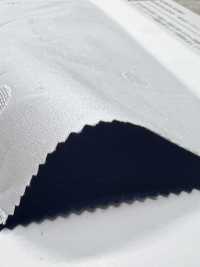 KKC422-55-D5 قطن 40/1 بنما جاكار[Textile / Fabric] Uni Textile (Komon Kobo) صور إضافية