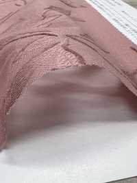 KKC500-D1 50% قطن جاكار مقصوص مصبوغ[نسيج / قماش] Uni Textile (Komon Kobo) صور إضافية