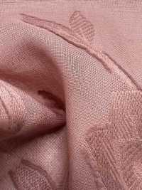 KKC500-D1 50% قطن جاكار مقصوص مصبوغ[نسيج / قماش] Uni Textile (Komon Kobo) صور إضافية