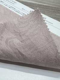 KKC545-D2 جاكار قطني مصبوغ 40s[Textile / Fabric] Uni Textile (Komon Kobo) صور إضافية
