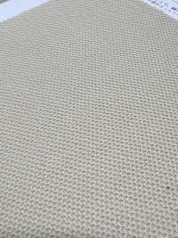 KKC5493-W حياكة بيكيه معدلة عريضة العرض من T/C[نسيج / قماش] Uni Textile (Komon Kobo) صور إضافية