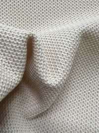 KKC5493-W حياكة بيكيه معدلة عريضة العرض من T/C[نسيج / قماش] Uni Textile (Komon Kobo) صور إضافية