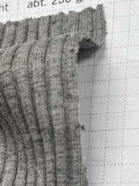 SD0241 Yak/C قماش ريب TERECO بإبرة ساقطة عشوائية[Textile / Fabric] SHIBAYA صور إضافية