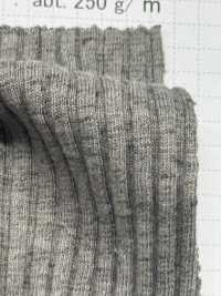 SD0241 Yak/C قماش ريب TERECO بإبرة ساقطة عشوائية[Textile / Fabric] SHIBAYA صور إضافية