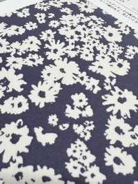 KKP1400-58-DSB-151 Feminish Dechine، عرض واسع[نسيج / قماش] Uni Textile (Komon Kobo) صور إضافية