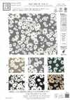 KKP1400-58-DSB-151 Feminish Dechine، عرض واسع