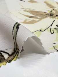 KKP1401-58-DBK-113W Feminish Dechine، عرض عريض[نسيج / قماش] Uni Textile (Komon Kobo) صور إضافية