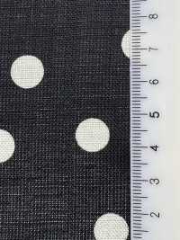 KKP1887-D66 شارك سكين بمظهر الكتان[Textile / Fabric] Uni Textile (Komon Kobo) صور إضافية