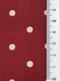 5024-333-1 Slendot برودكلوث[Textile / Fabric] HOKKOH صور إضافية