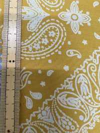 5022-388-1 Ryett طباعة بالتفريغ[Textile / Fabric] HOKKOH صور إضافية