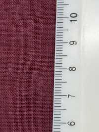 RN5061 لاون كتان وواشي برات آيرين[Textile / Fabric] KOYAMA صور إضافية