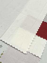 PSW7865 80/1 قماش تايب رايتر عالي الكثافة جدًا، قطن مصبوغ سادة[Textile / Fabric] KOYAMA صور إضافية