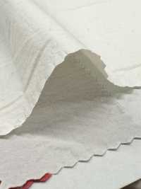 PSW7865 80/1 قماش تايب رايتر عالي الكثافة جدًا، قطن مصبوغ سادة[Textile / Fabric] KOYAMA صور إضافية
