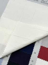 PSW7865 80/1 قماش تايب رايتر عالي الكثافة جدًا، قطن مصبوغ سادة[Textile / Fabric] KOYAMA صور إضافية