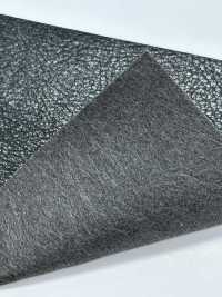 HINOKI-SR هينوكي ستريتش[Textile / Fabric] Nagai Nenshi صور إضافية
