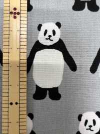 850564 برودكلوث <Look This Way Panda>[نسيج / قماش] VANCET صور إضافية