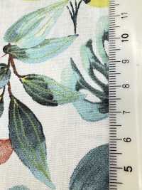 4251 SEVENBERRY® برودكلوث أنيق ومريح / Vacances[Textile / Fabric] VANCET صور إضافية