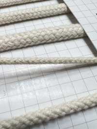 HC-1003 قطن 8 طبقات مغزل S[Ribbons, Tapes, And Cords] Hashimoto صور إضافية