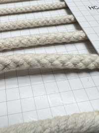 HC-1005 قطن 8 خيوط Spindle L[Ribbons, Tapes, And Cords] Hashimoto صور إضافية