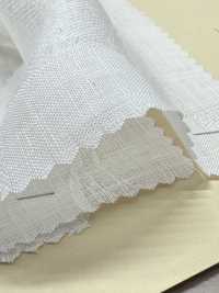 A-5077 L-100% جاكار[Textile / Fabric] Arinobe Shoten صور إضافية