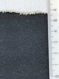 TS50 ريب T/C 1x1، فول نيدل، عرض 60 سم[Rib Knit] TAKENAKA CORPORATION صور إضافية