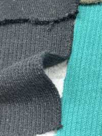 TS55 تريكو مضلع T/C إيلاستيك 3 خيوط إيلاستيك 1 خيط 1 × 2 مضلع عرض 60 سم[Rib Knit] TAKENAKA CORPORATION صور إضافية