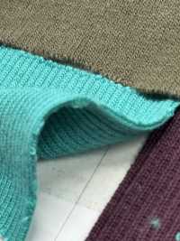 TS65 حياكة مضلعة T/C مطاطي 3 خيوط مطاطي 2 خيط خيط واحد 2x1 عرض 60cm[تريكو مضلع] TAKENAKA CORPORATION صور إضافية