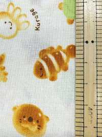 AP61208 Nunomonogatari شييتنغ (رول)[Textile / Fabric] COSMO TEXTILE صور إضافية