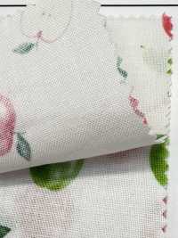 AP61111 MRS. قماش شيتينغ ليلكي (رول)[Textile / Fabric] COSMO TEXTILE صور إضافية