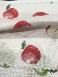 AP61111 MRS. قماش شيتينغ ليلكي (رول)[Textile / Fabric] COSMO TEXTILE صور إضافية